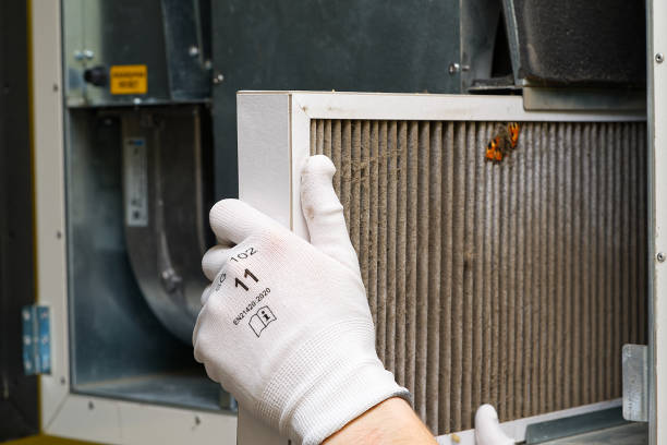 Best HVAC System Cleaning  in West Plains, MO