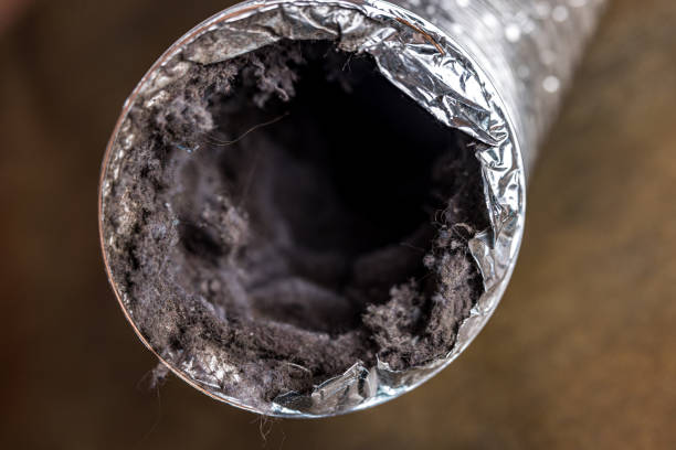 Best Dryer Vent Cleaning Services  in West Plains, MO